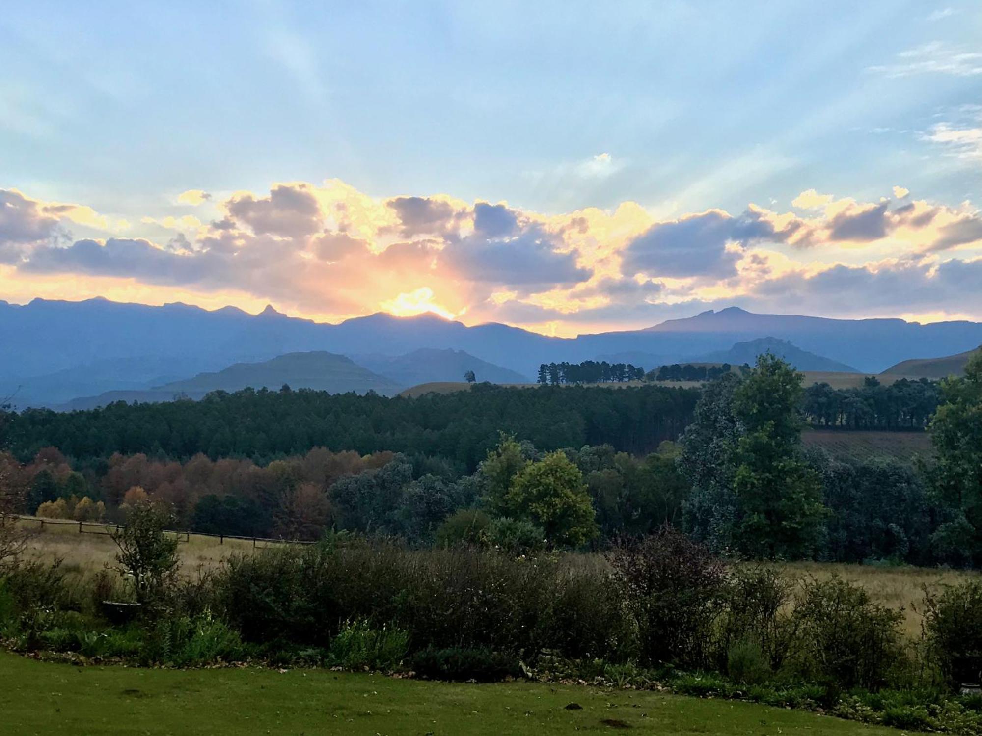 Bamboo Mountain Farm * Underberg